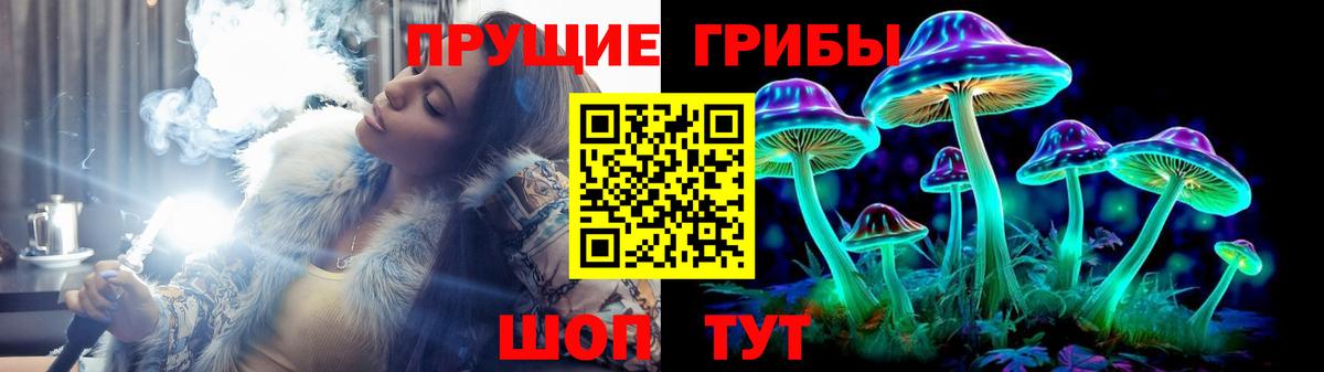 где продают   Вход с VPN  Нефтеюганск  Псилоцибиновые грибы Cubensis 
